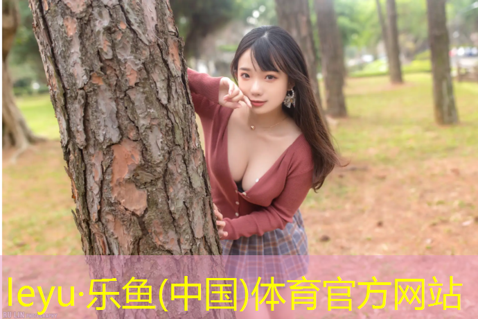 3米6米折叠网球网