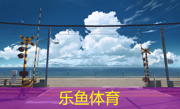 3.1米网球网